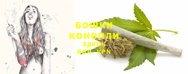 спиды Нея