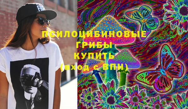 спиды Нея
