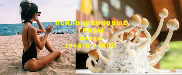 спиды Нея
