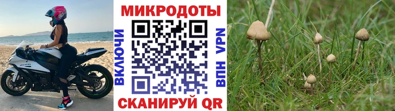 Галлюциногенные грибы Cubensis  Рыбное 